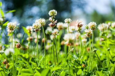 Similar image 13216326