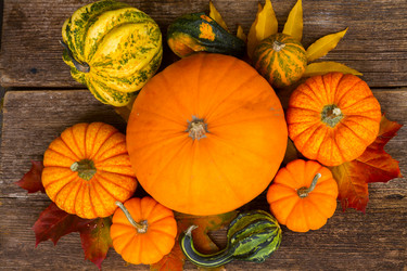 Similar image 13216279