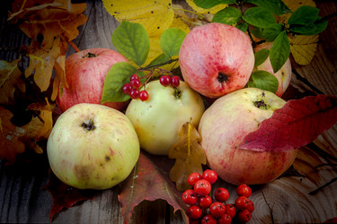 Similar image 13212664