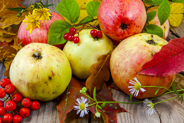 Similar image 13212665