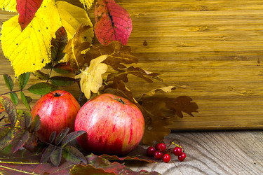 Similar image 13212675