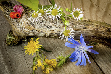 Similar image 13212676