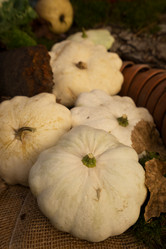 Similar image 13216432