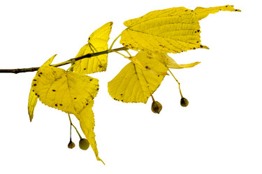 Similar image 13212677