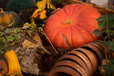 Similar image 13216527