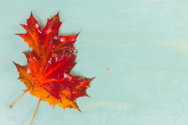 Similar image 13216874