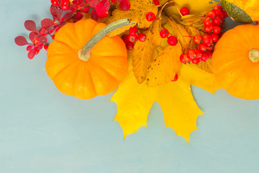 Similar image 13216875