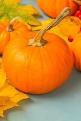 Similar image 13217192