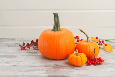 Similar image 13215562