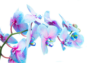 Similar image 13216684