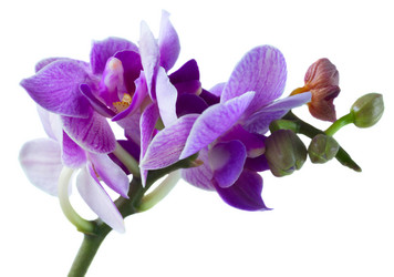 Similar image 13216685