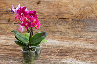 Similar image 13216686