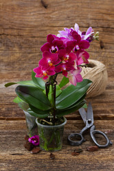 Similar image 13216876