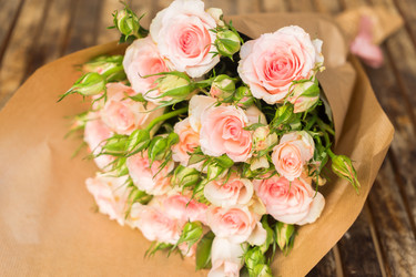 Similar image 13215710