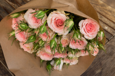 Similar image 13215717