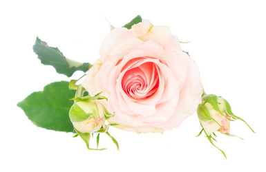 Similar image 13215721