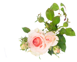 Similar image 13215715