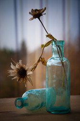 Similar image 13205805