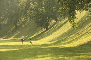 Similar image 13205807