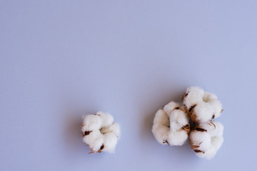 Similar image 13216779