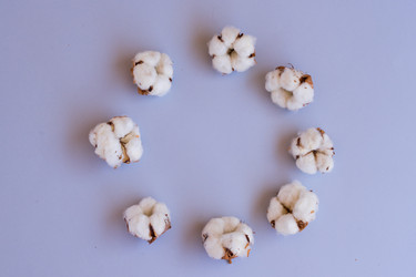 Similar image 13216277