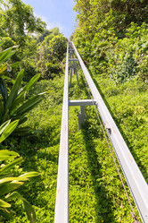 Similar image 13216730