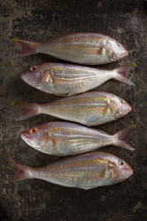 Similar image 13216732