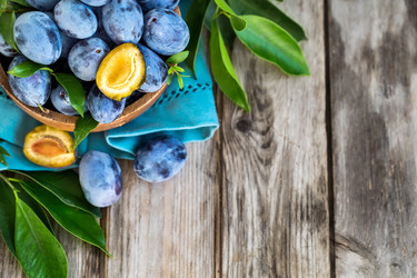 Similar image 13207738