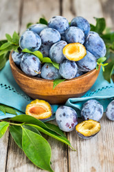 Similar image 13207739