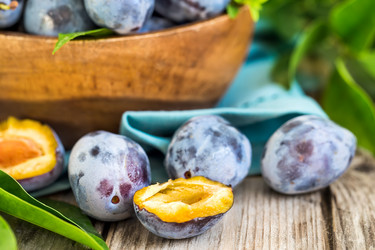 Similar image 13207740