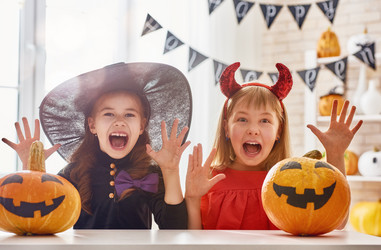 Similar image 13204849