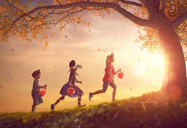 Similar image 13204891