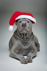 Similar image 13211190