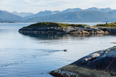 Similar image 13210975