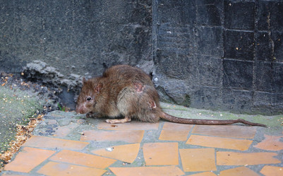 Similar image 13205158