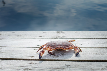 Similar image 13210870