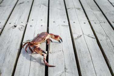 Similar image 13210872