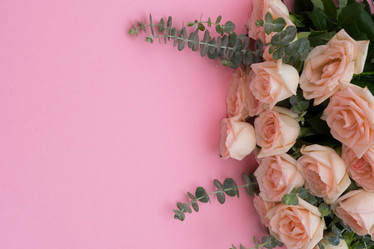 Similar image 13215599