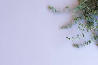 Similar image 13215643