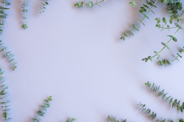 Similar image 13215662