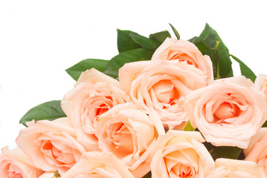 Similar image 13216179