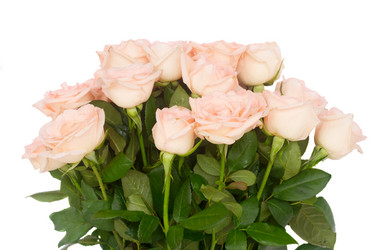 Similar image 13216180