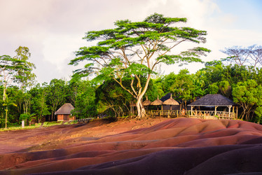 Similar image 13216715