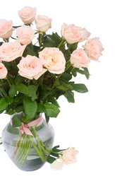 Similar image 13216353