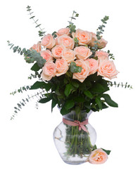 Similar image 13216354