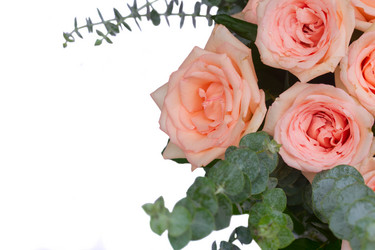 Similar image 13216368