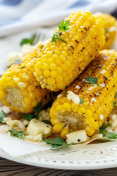 Similar image 13208037