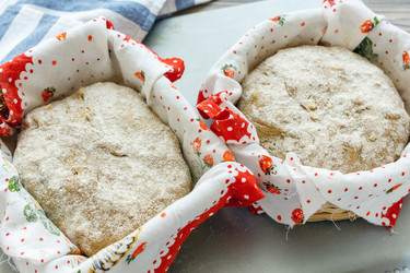 Similar image 13208061