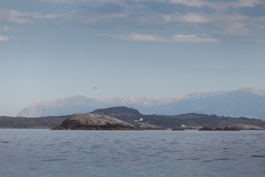 Similar image 13211008