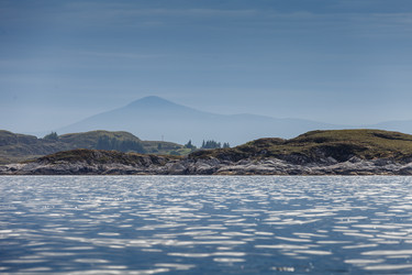 Similar image 13211009